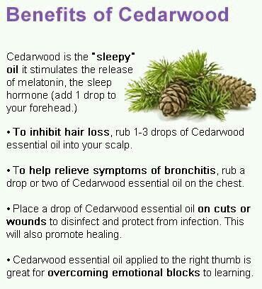 Benefits of cedar wood essential oil | Cedarwood essential oil ...