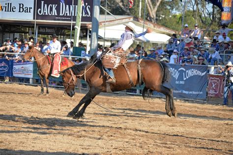 Massive crowd for Warwick Rodeo across the week | Warwick Daily News