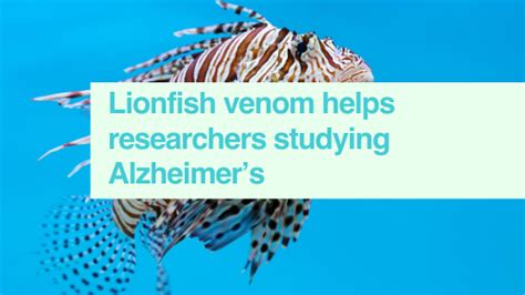 Lionfish venom helps researchers studying Alzheimer's