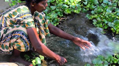 Tourism and the Backwaters of Kerala - The Borgen Project