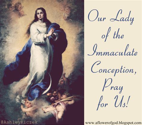 Prayer to the Immaculate Conception