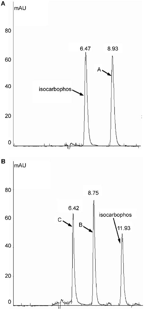 Extracts obtained from dichloromethane (A) and ethyl acetate (B) were ...