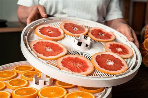 Is Your Dehydrator Working? Here’s How To Know – My Budget Recipes