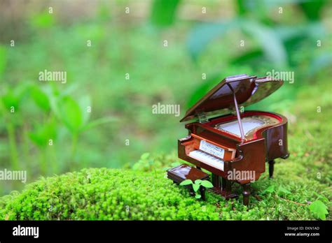 Grand piano nature hi-res stock photography and images - Alamy