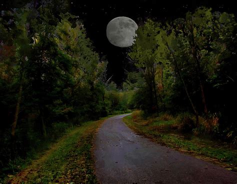 Full Moon Over Forest Trail Photograph by Cedric Hampton - Pixels