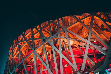 Birds Nest Night View Picture And HD Photos | Free Download On Lovepik