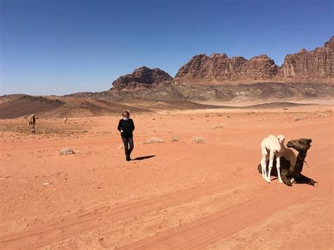 Wadi Rum Desert Tours - 2019 All You Need to Know BEFORE You Go (with ...