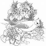 1000 Coloring Pages At GetColorings Free Printable Colorings  Adult sketch template