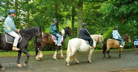 Haggerston Castle Holiday Park, Berwick-upon-Tweed - Pitchup®