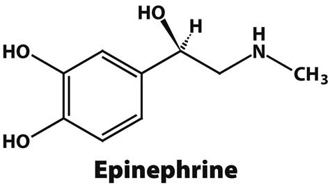 Epinephrine function, epinephrine uses, dosage & epinephrine side effects