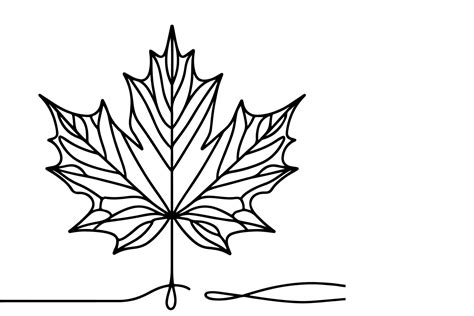 AI generated Continuous one black line drawing maple leaf icon outline ...