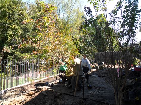 Slate Garden-Week 2 – Good Winds Landscape & Garden Center