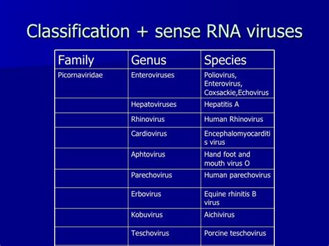 Picornaviruses