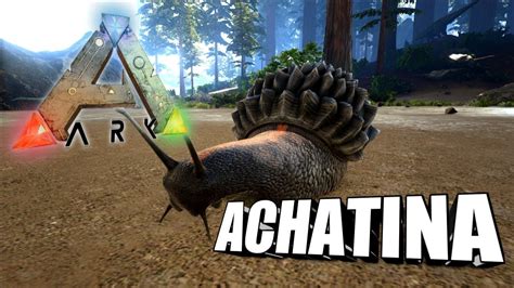 Taming A Achatina | Ark Survival Evolved | The Island - YouTube