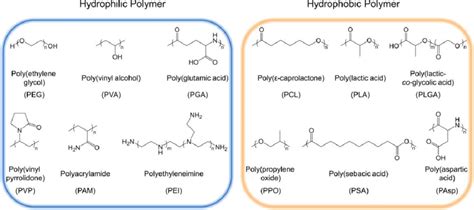 Hydrophilic Examples