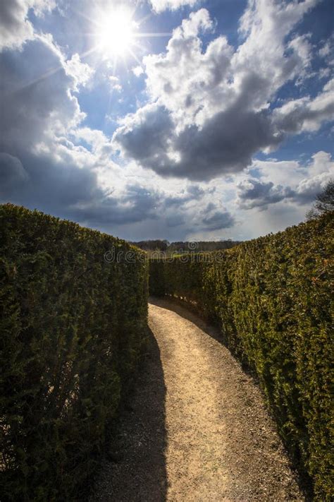 Maze At Leeds Castle Garden In Maidstone, Kent, England, Europe Stock Photo - Image of england ...