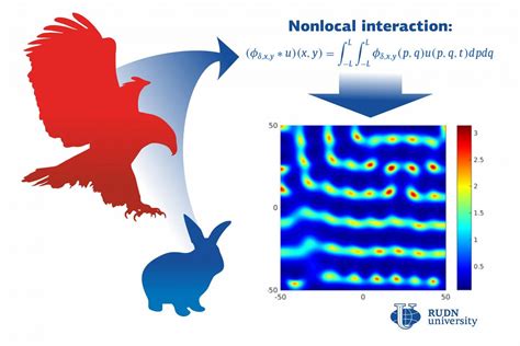 Mathematician refines model of predator-prey relations in the wild