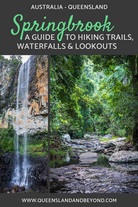 Hiking Springbrook National Park: A Waterfall Guide in 2020 | Australia tourism, Australia ...