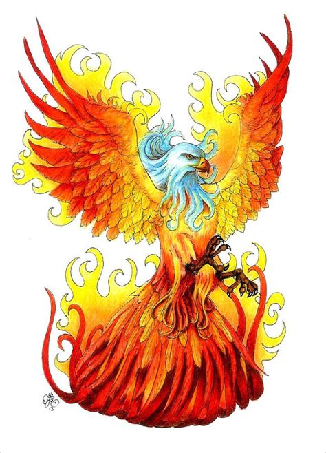 Phoenix Drawing In Color