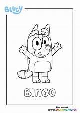 26 Best Ideas For coloring  Bingo Coloring Pages sketch template