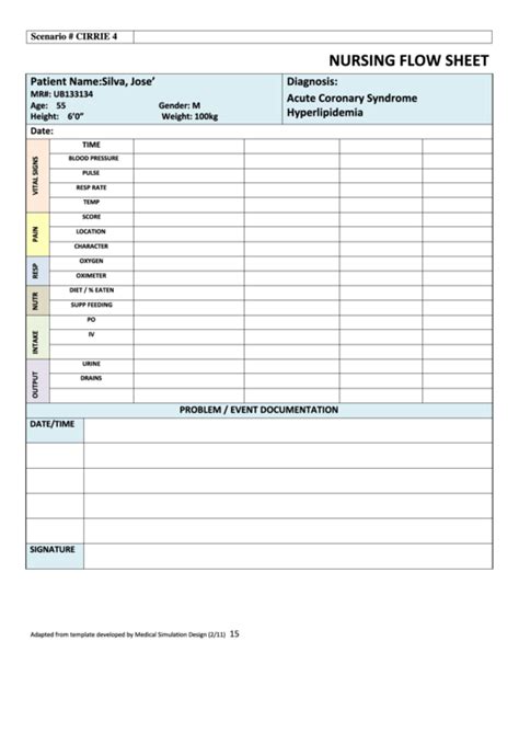 27 Medical Flow Sheets free to download in PDF