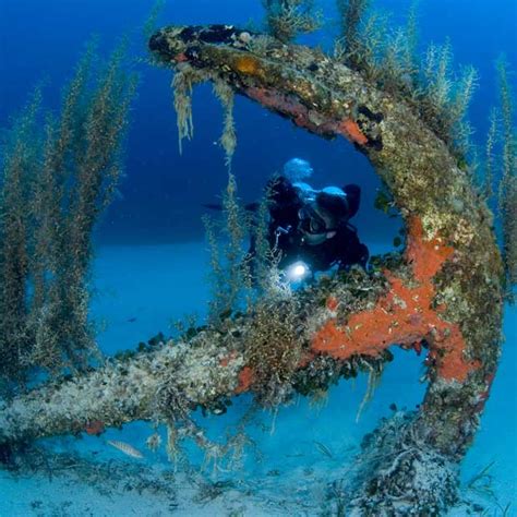 Wreck Diving Holidays | Dive Worldwide