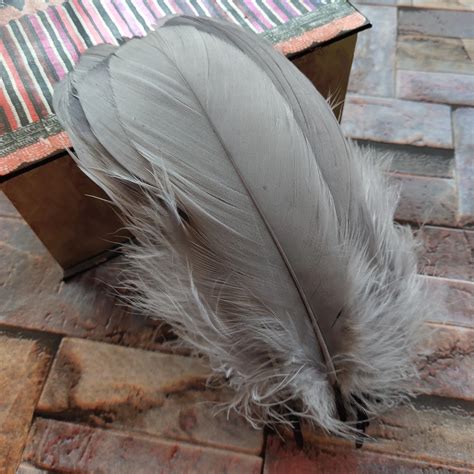 100pcs Natural Goose Feathers Gray Loose Goose feathers 12 20cm long Christmas decoration ...