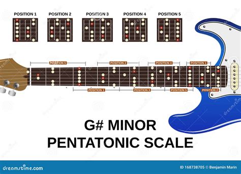 C Sharp Minor Pentatonic Scale Vector Illustration | CartoonDealer.com #168736412