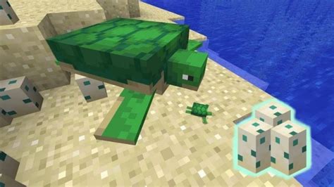 Minecraft: How to get Sea Turtle Eggs - The Best T-Shirt Trends for Every Occasion