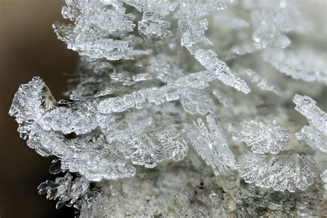 Frost crystals on fallen leaf #1 | Frost crystals on fallen … | Flickr