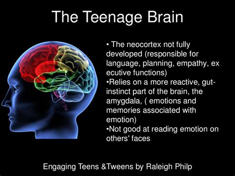 The Teenage Brain • The