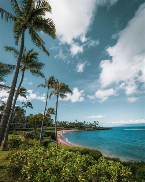 Kapalua Coastal Trail: Alongside the Ocean - Maui Inspired