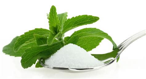 Stevia: Get the Scoop on This Popular Alternative to Sugar - University Health News