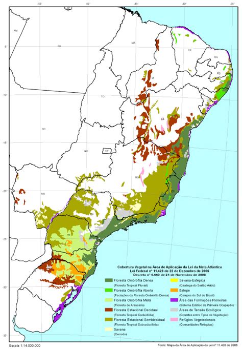 Key mammals dying off in rainforest fragments