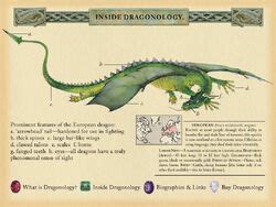 Dragonology: The Complete Book of Dragons | Dragons | Fandom powered by Wikia