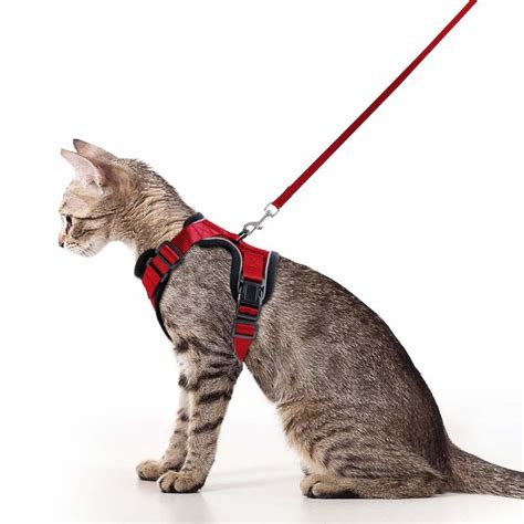 Adjustable Soft Cat Vest Kitten Harnesses Reflective Safety Harness with Leash