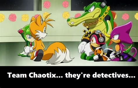 Team Chaotix… they’re detectives… you don’t want on your side… | Sonic fan characters, Sonic ...