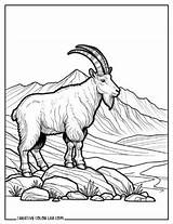 13 Goat Coloring Pages  Free PDF Printables sketch template