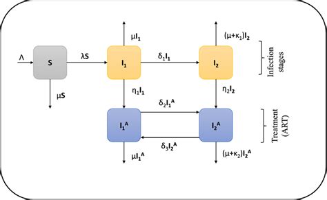 Schematic diagram of HIV transmission | Download Scientific Diagram