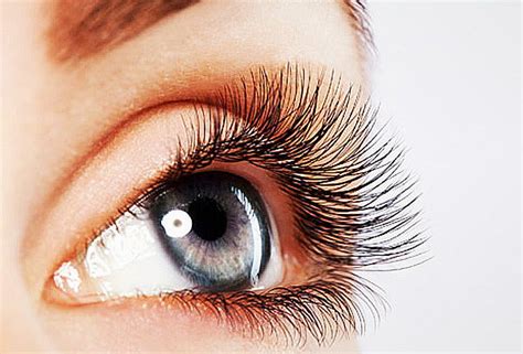 Eyelash Perm – Ómra Beauty