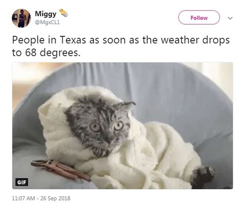 Every Texan can relate these social media posts when a cold front arrives