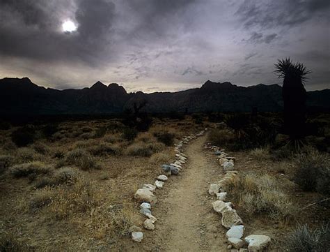 Mojave desert, USA