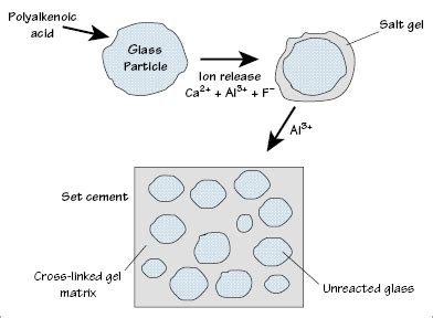 28: Inorganic (acid–base reaction) cements | Pocket Dentistry