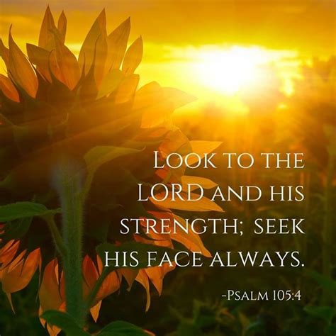 Psalm 105:4 (KJV) 4 Seek the Lord, and his strength: seek his face evermore. | Psalms, Psalm 105 ...