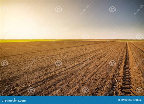 Agricultural Landscape, Arable Crop Field. Stock Image - Image of country, outdoor: 119254297