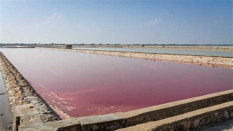 The Largest Saltwater Lake in India Is a Popular Filming Site Too