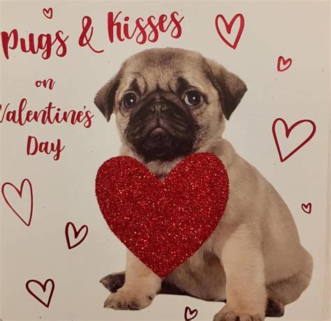 Cute Pug Valentines Card | I Love Pugs