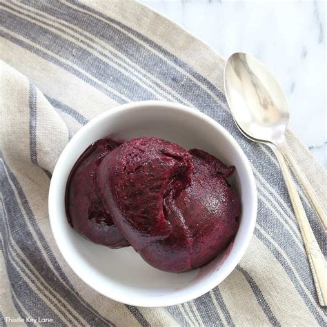 Blueberry Lemon Sorbet Recipe - Thistle Key Lane