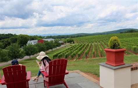 The Surprising Wines of Virginia: Barboursville Vineyards - Food, Wine & Travel