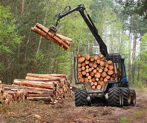 Best Timber Harvest Stock Photos, Pictures & Royalty-Free Images - iStock